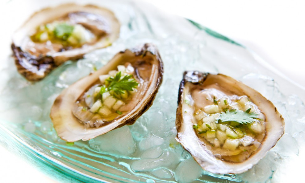 Oysters